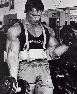 arnold schwarzenegger workout