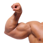 build big biceps